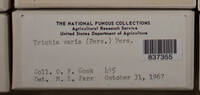 Image Associated With the Occurence